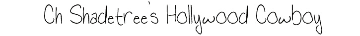 Shadetree's Hollywood Cowboy