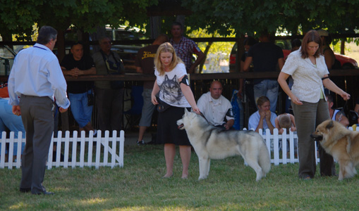 Indian Legend of Siberian Lady BOB
