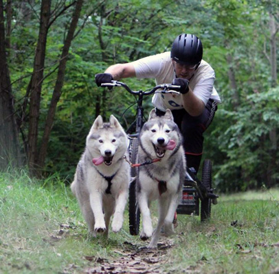 With Quinny and Pasek